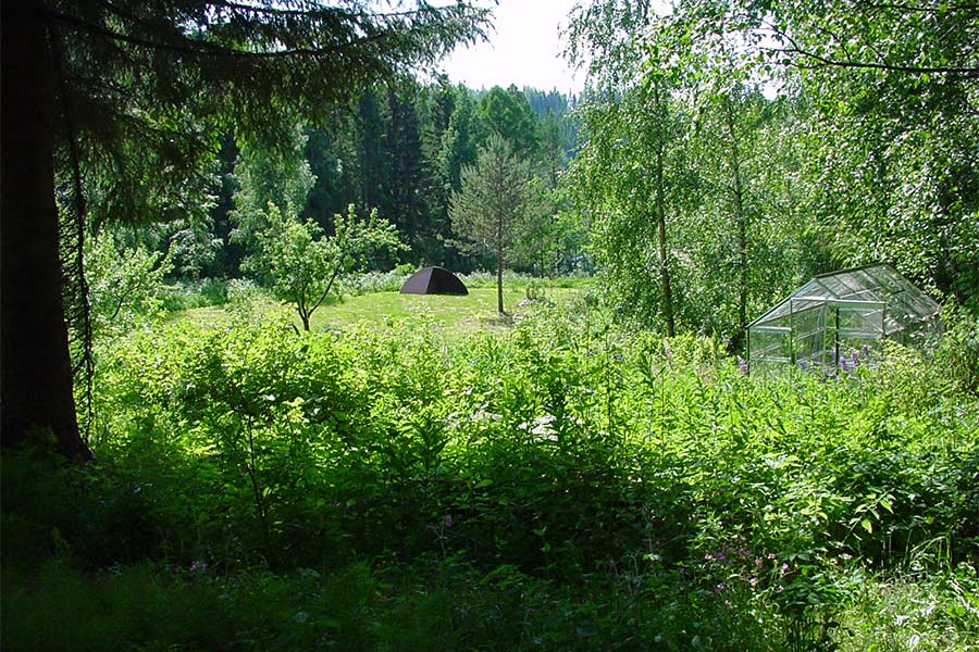 An aerial photo of the sculpture park.